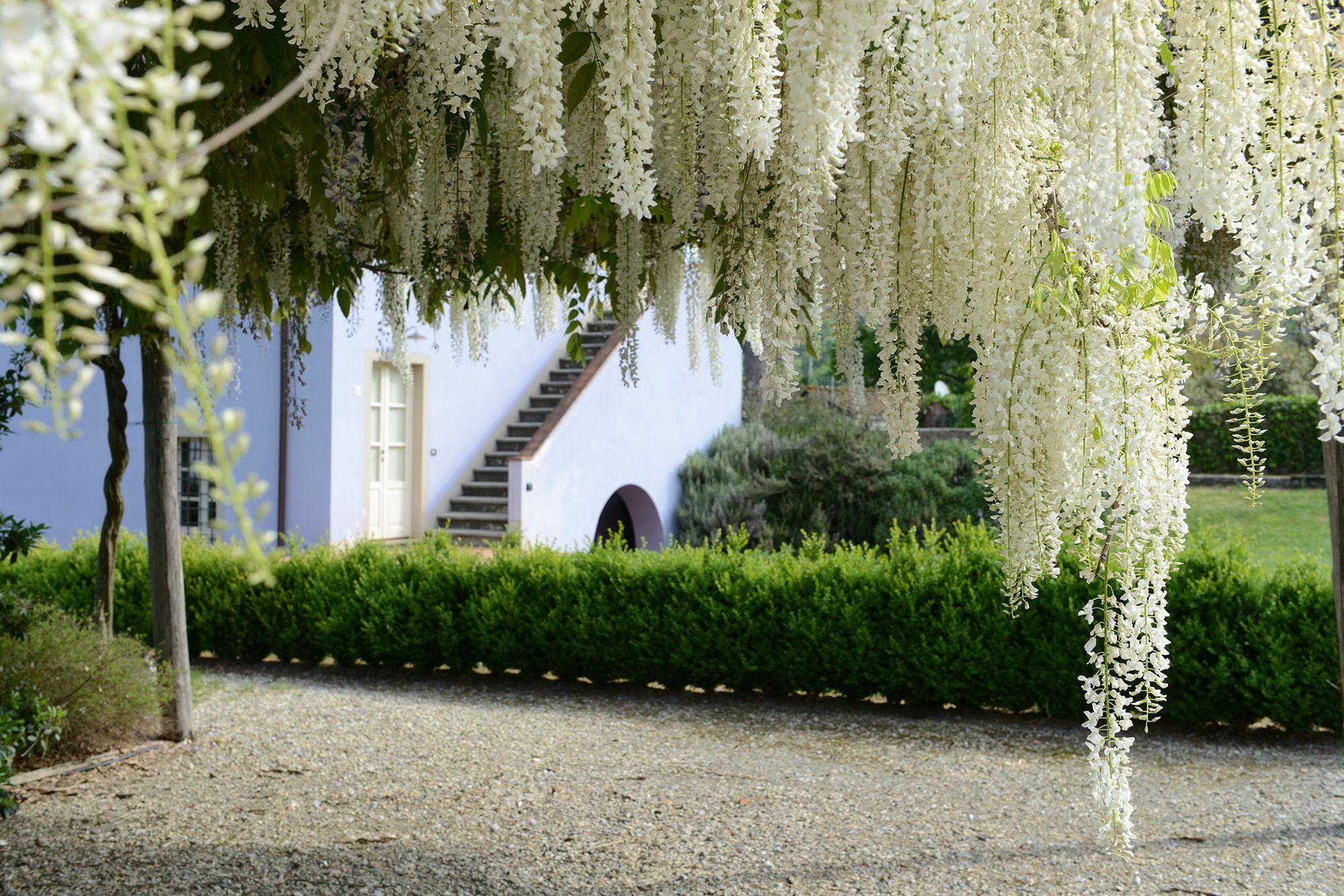Ai Santinelli Bed & Breakfast Vorno Luaran gambar